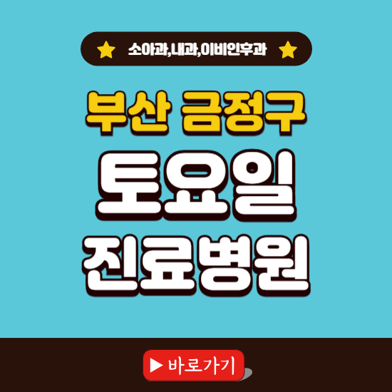 부산 금정구 토요일 진료 병원 찾기 ❘ 주말 문여는 소아과, 내과, 이비인후과 리스트