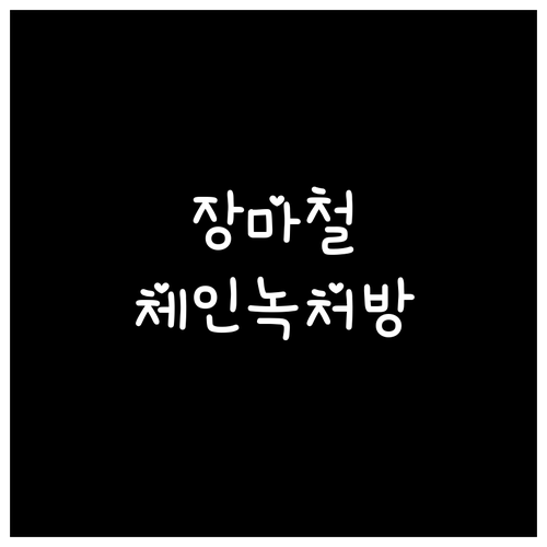 장마철 체인 녹 예방부터 제거까지 한..