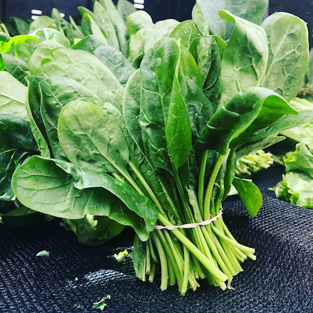 노안 증상 테스트 예방 운동