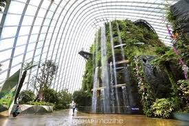 마리나 베이 ─ 돔 식물원 + 야간 슈퍼트리 쇼 (출처:네비버블로그/연합뉴스/쿨룩)