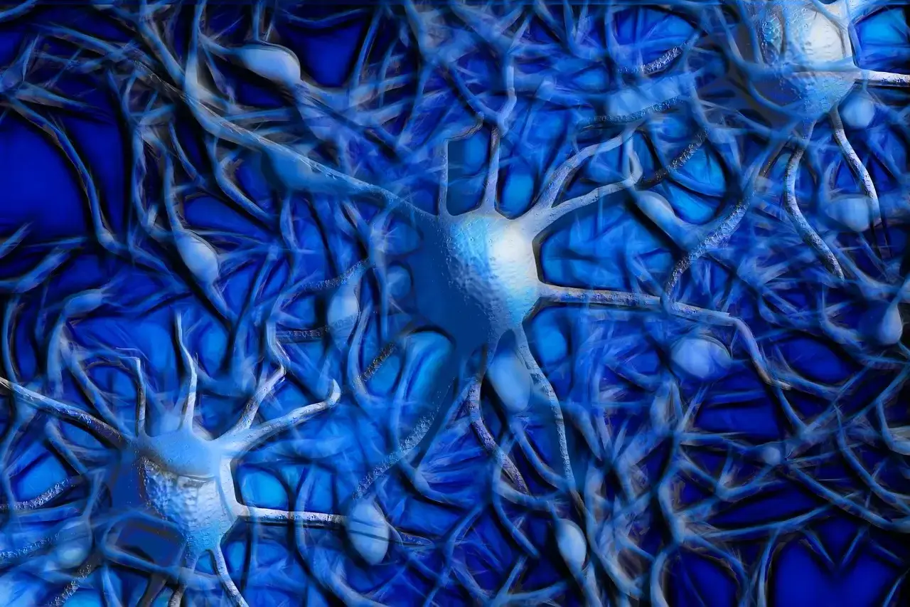 포스파티딜 세린