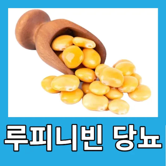 당뇨관리 루피니빈 섭취 방법 루피니빈 효능 당뇨콩 부작용