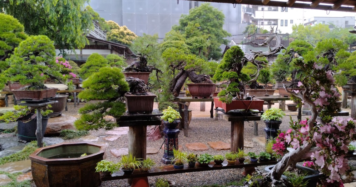 이치카와 미술관 특별 전시와 에도가와구 숨은 명소 TOP 5