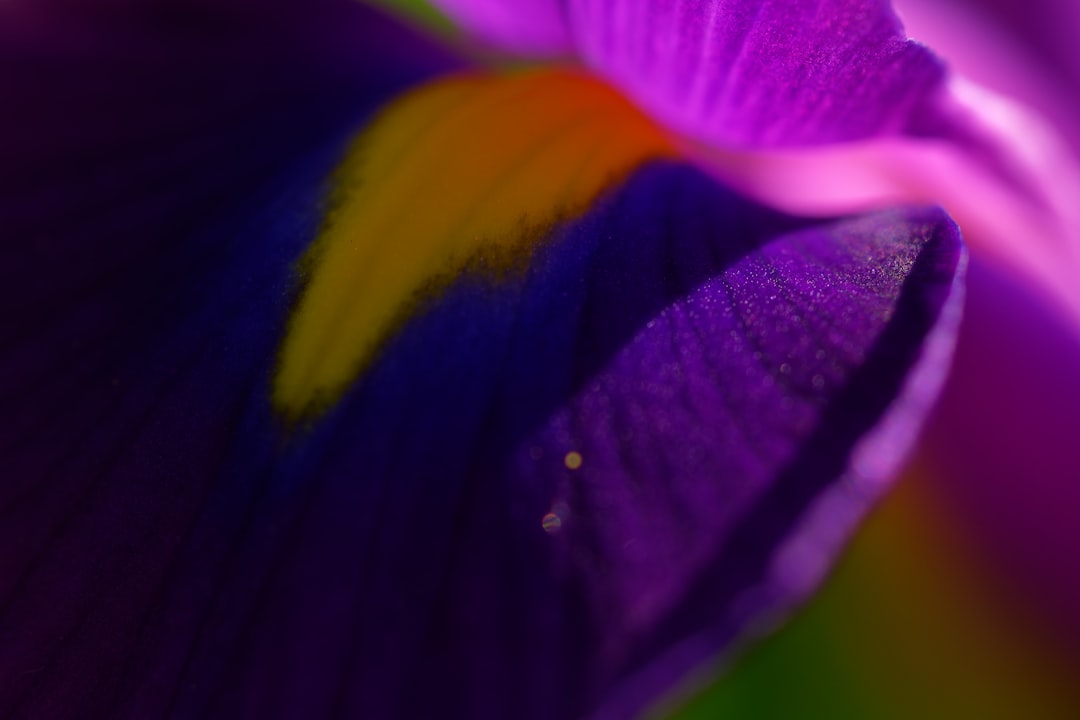 Renewal