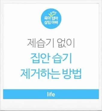 제습기 없이 습기 제거 끝 숯 염화칼슘 등 천연 제습제 활용법 완벽 가이드_10