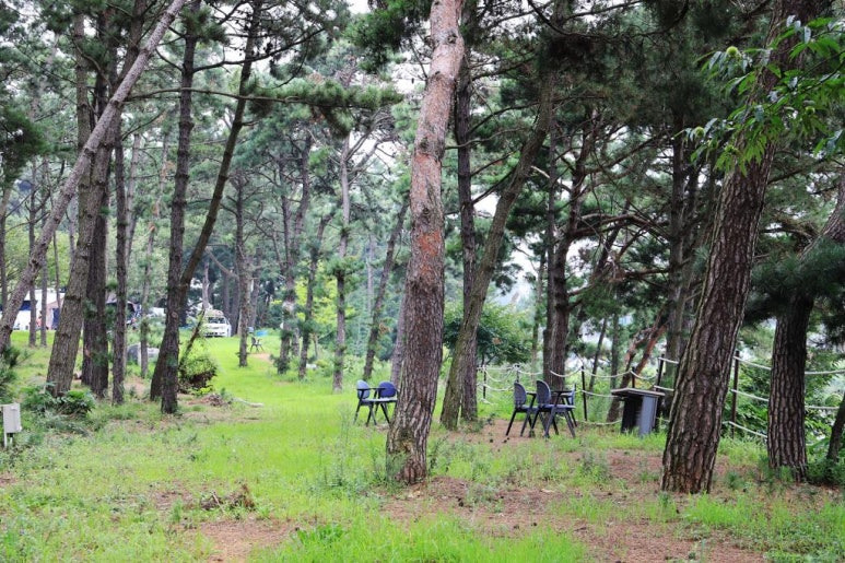 안산 대부도 인생 캠핑장, 추천 캠핑장