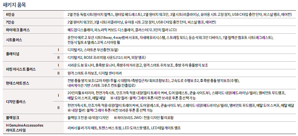 2023년 신형 싼타페 : 디 올 뉴 싼타페