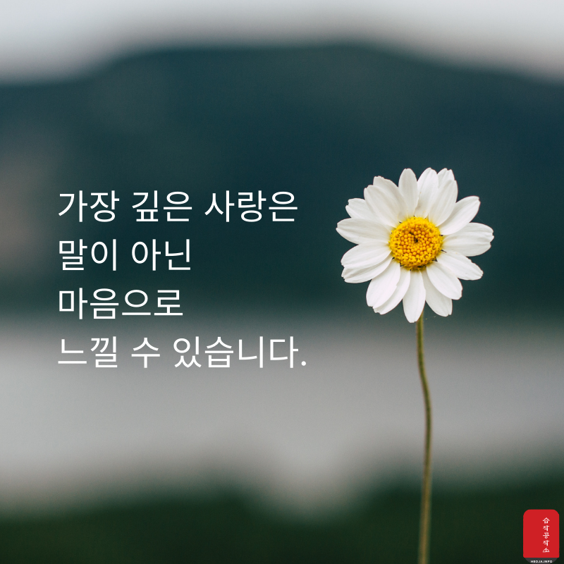 사랑 글귀 좋은 글 사랑의 글 모음 이미지