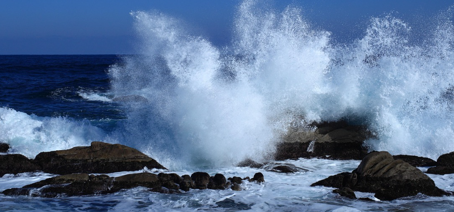 맛집 여행 관련 사진