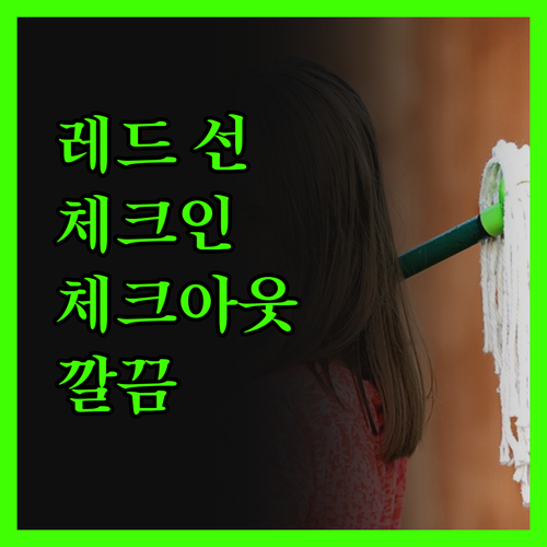 레드 선 키오스에서 체크인부터 체크아
