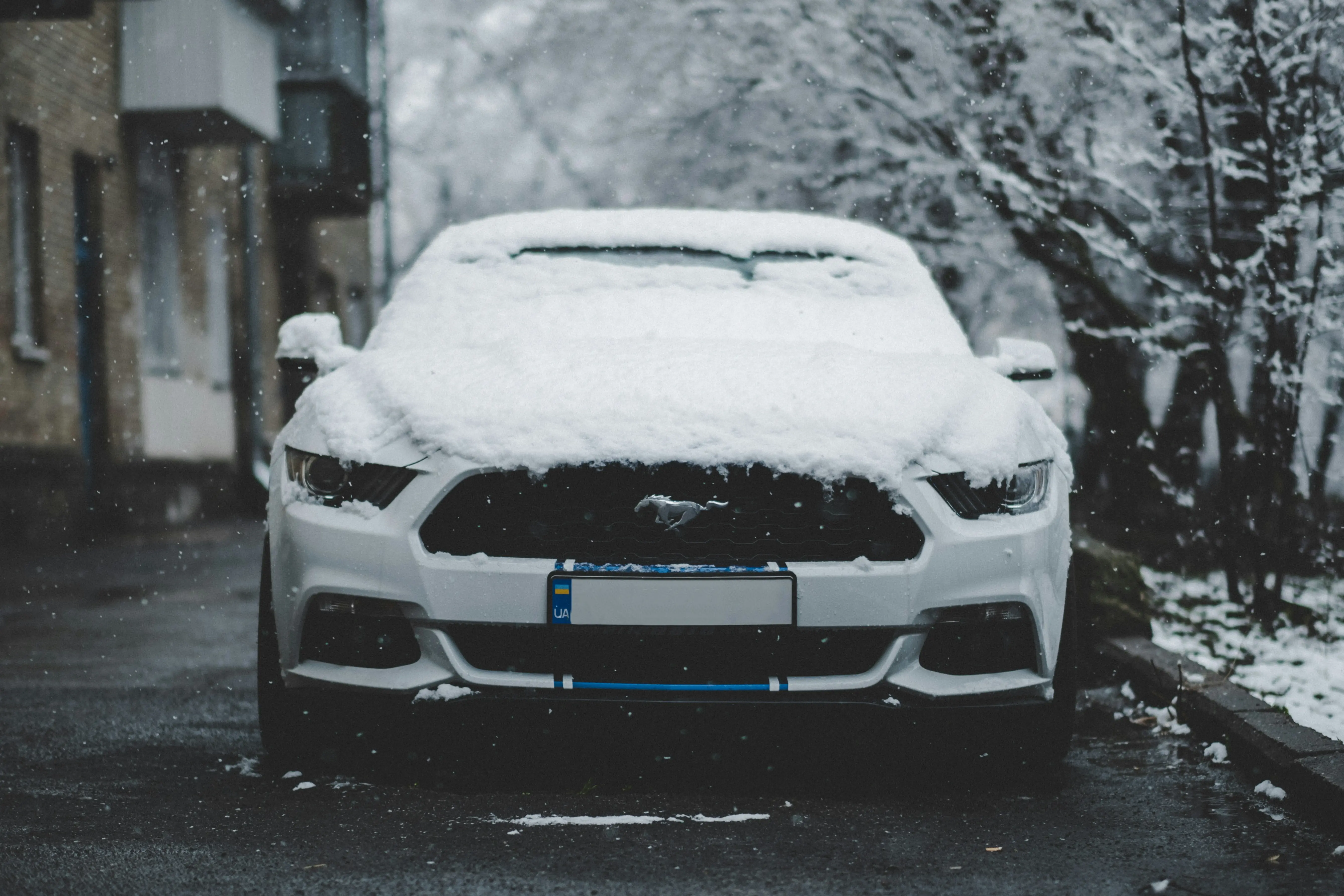 겨울철 차량 관리 완벽 가이드