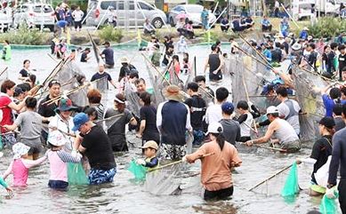 장흥 물축제 관련 이미지