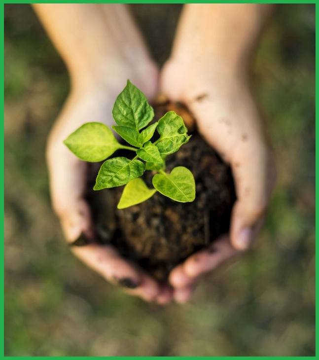 지속 가능한 생활