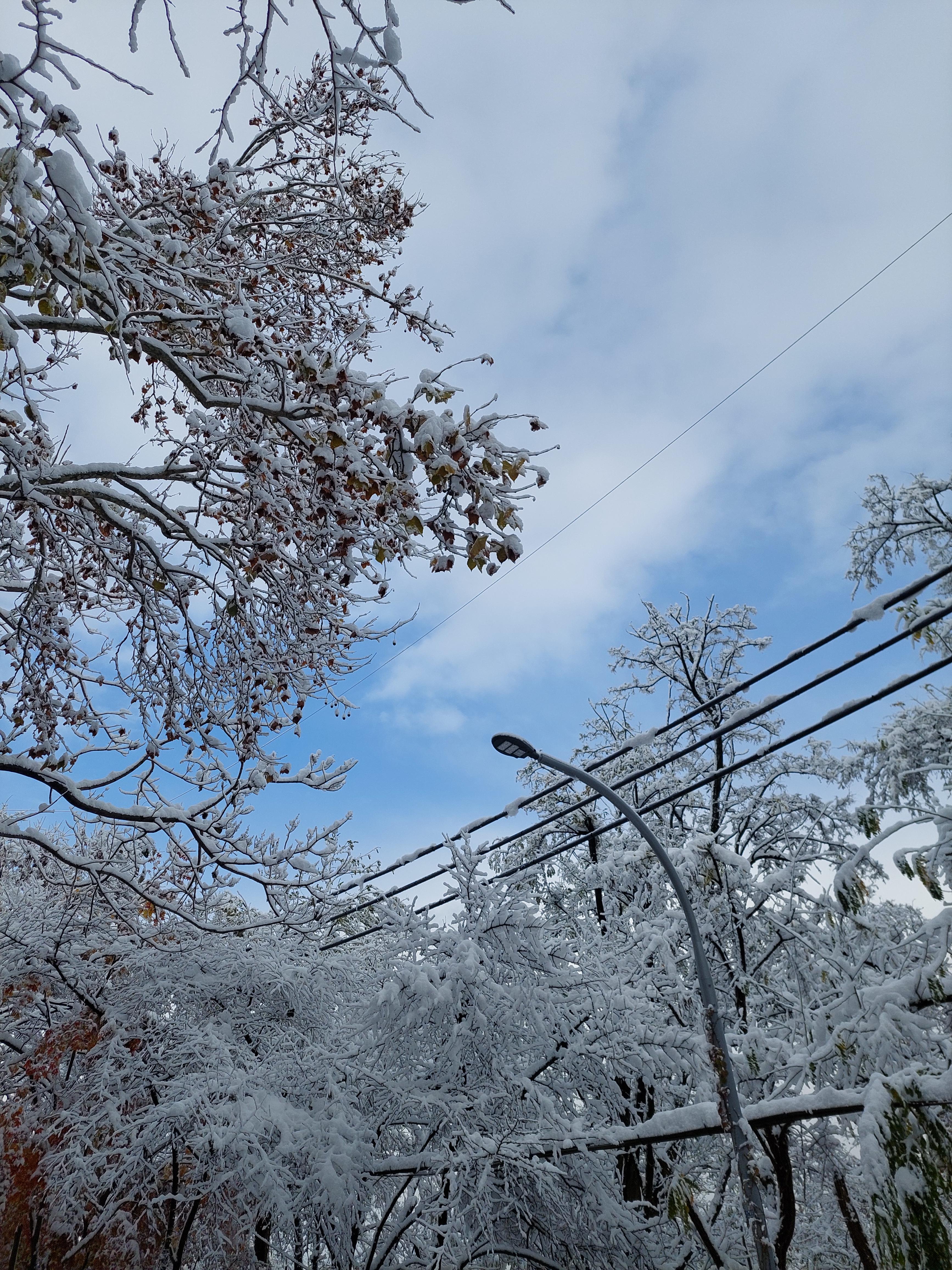 백련산안산