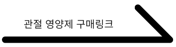 강아지 관절 영양제 추천