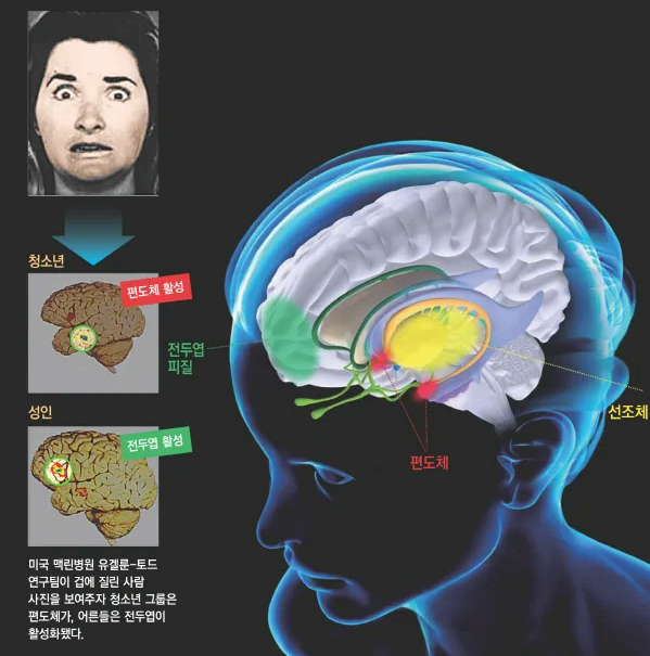 출처: 경향신문