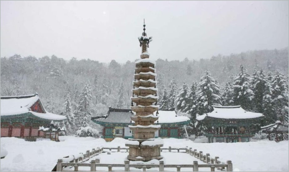 겨울 산사 템플스테이 명소, 고요 속 나를 찾는 사색 여행! 오대산 월정사