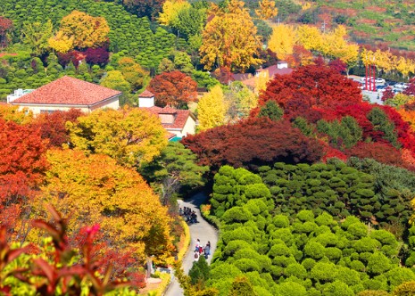 단풍명소