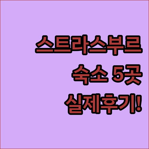 스트라스부르 여행 숙소 추천 5곳 위..