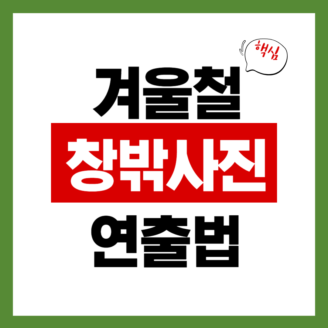 겨울 감성 창밖 사진 연출법 7가지