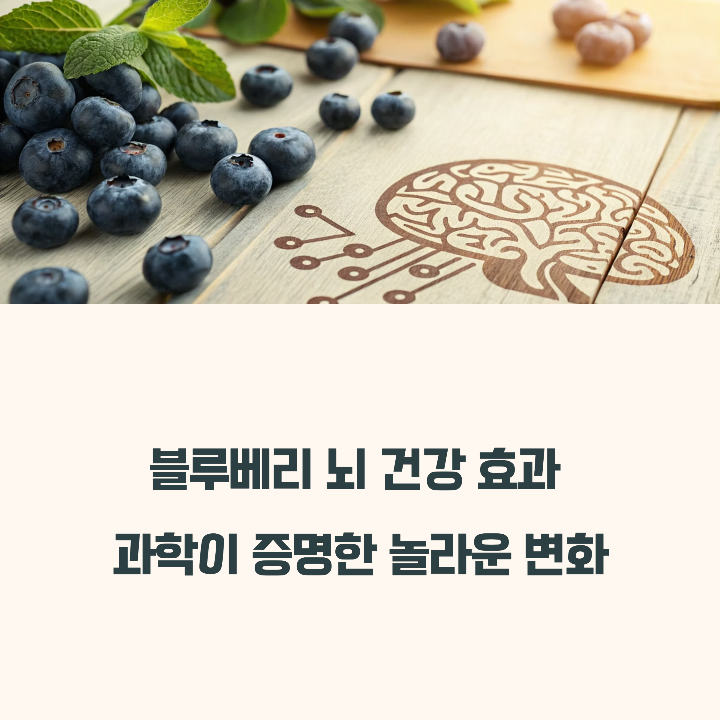 블루베리의 숨겨진 효능, 뇌 건강 개선에 과학적 근거 있을까?