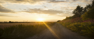 청년도약계좌 은행별 금리