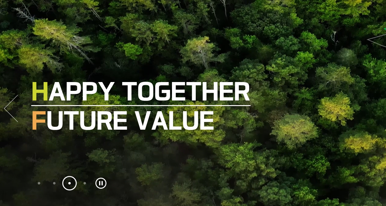 특례 보금자리론