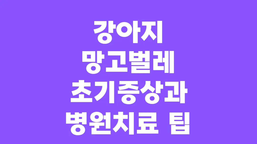 강아지 망고벌레 초기증상과 병원치료 팁