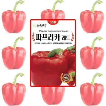 "여름