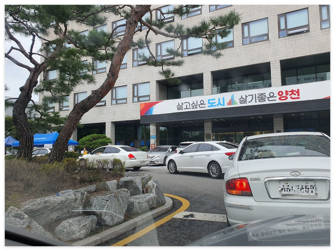 명절 차량 무상점검, 줄서있는 차량들