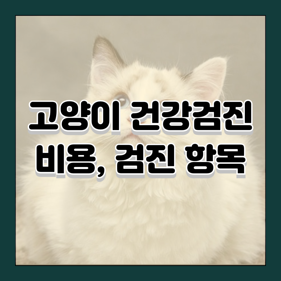 고양이 건강검진 비용, 검진 항목