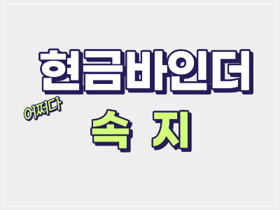 현금바인더 속지