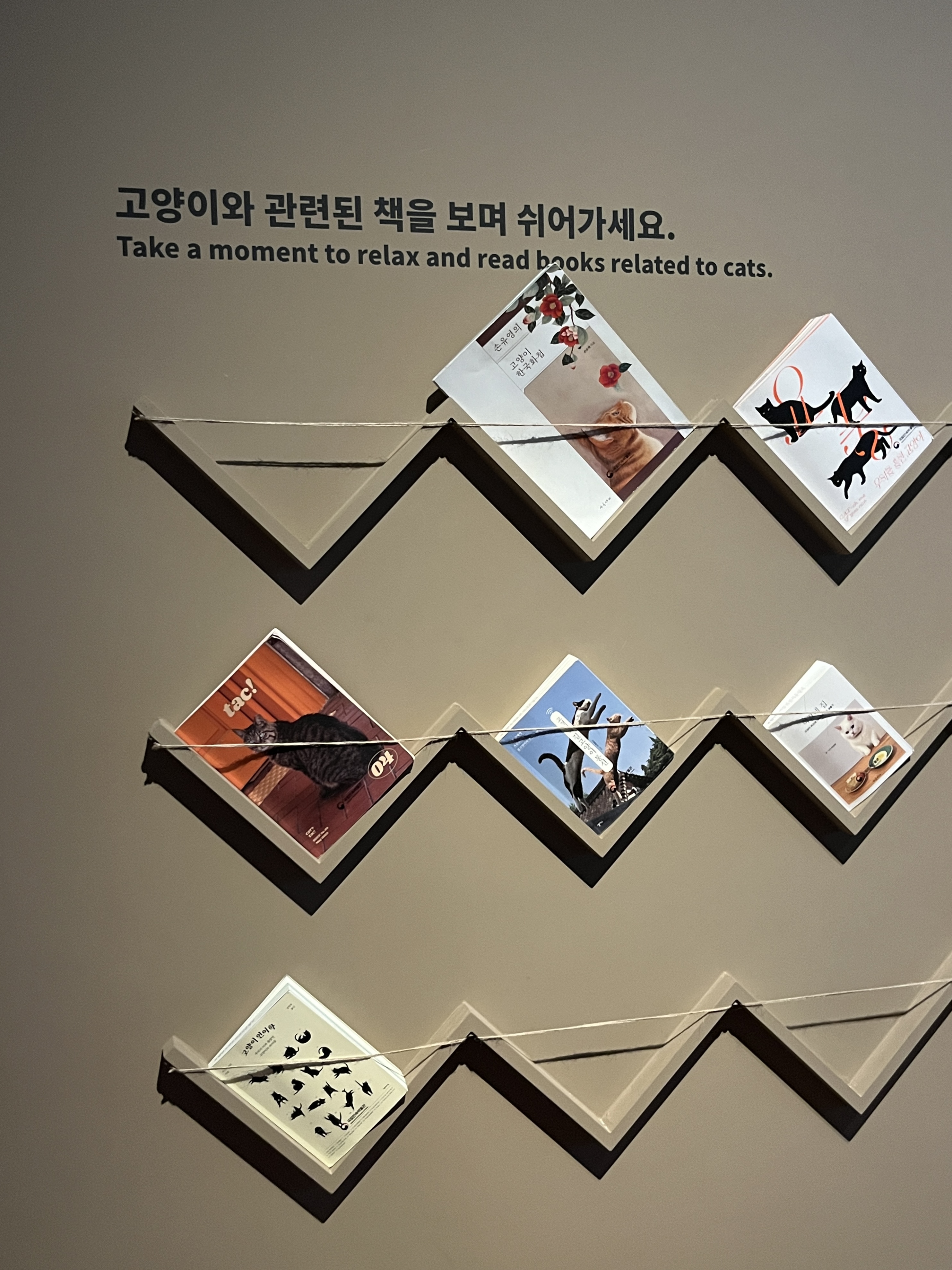 요물 우리를 홀린 고양이