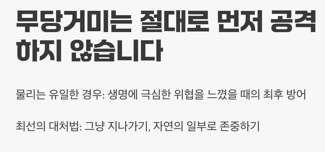 공격적인 사냥꾼 아닌, 온순한 거인