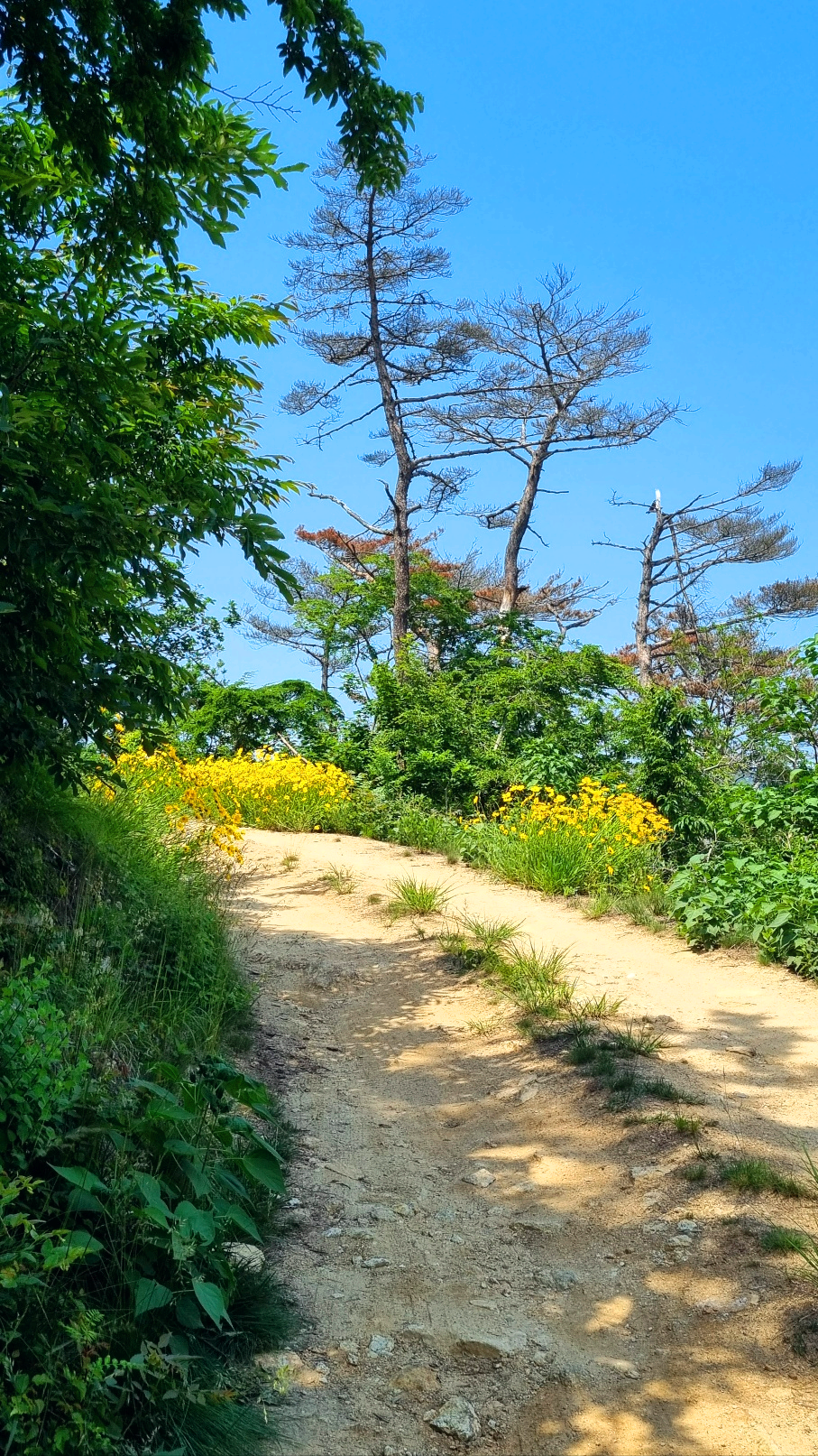 용담_가는길