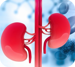 호박씨-효능-부작용