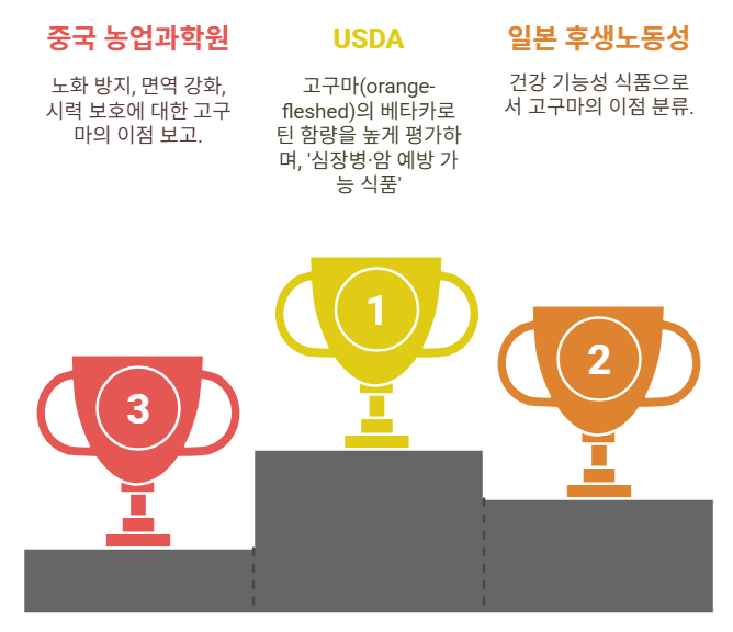 파파얌 고구마 연구 데이터