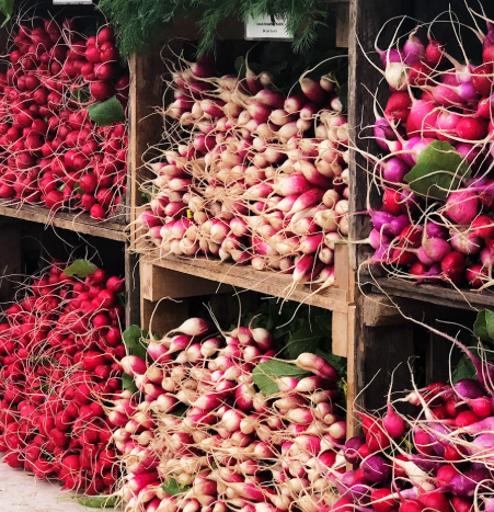 무 효능과 부작용