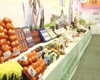 함양산삼축제_23