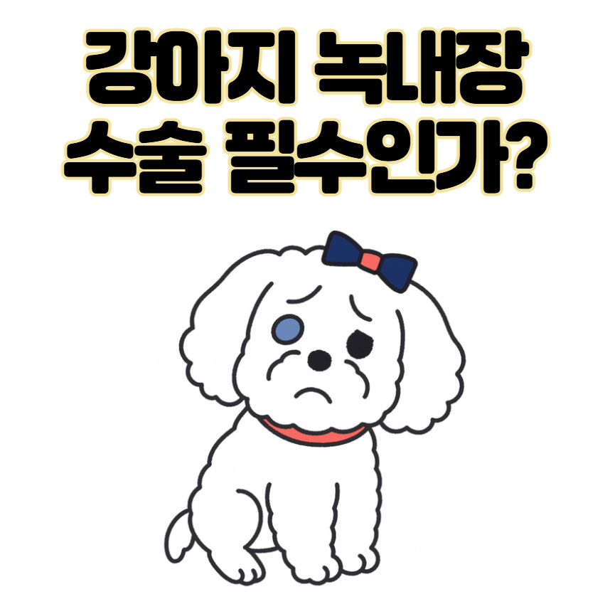 강아지 녹내장 증상, 수술 필수인가? 예방 및 치료법 한 번에 정리