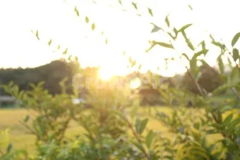 아웃포커스 사진 피사체 분리 배경 처리 색감 조절_7