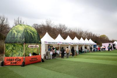 여의도 벚꽃축제