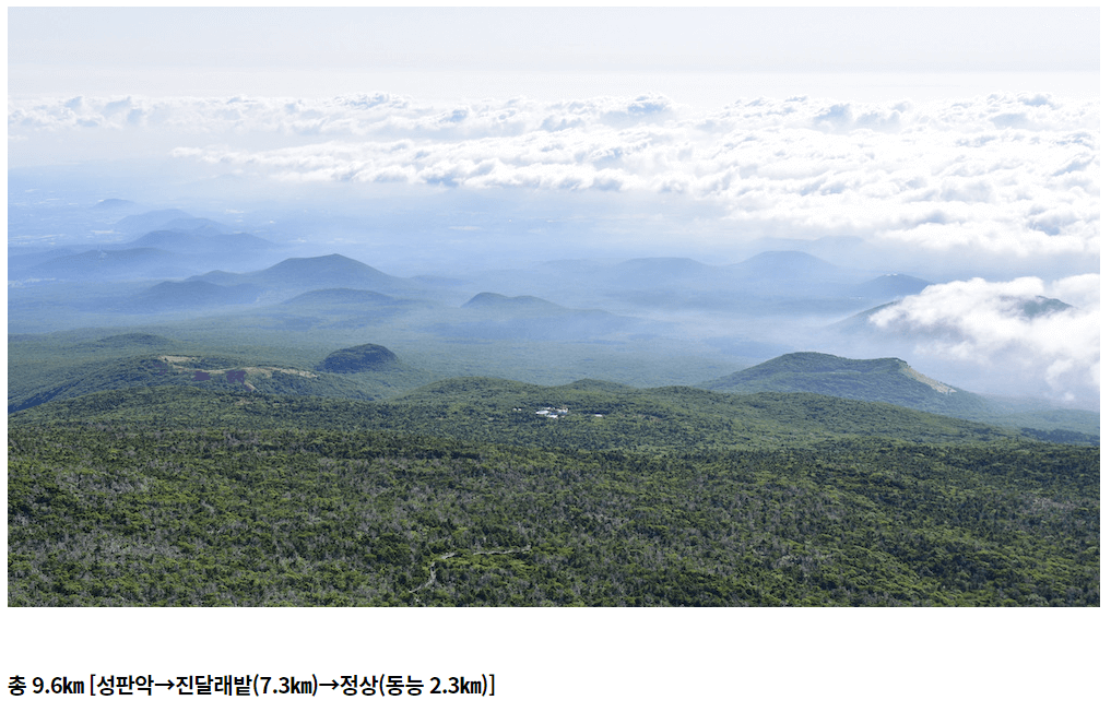 한라산성판악코스