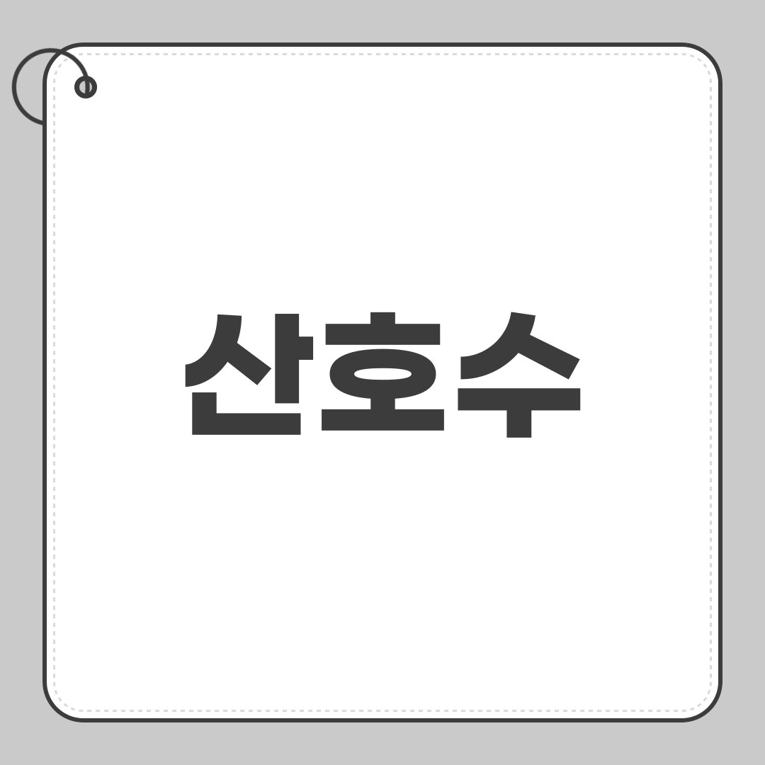 산호수
