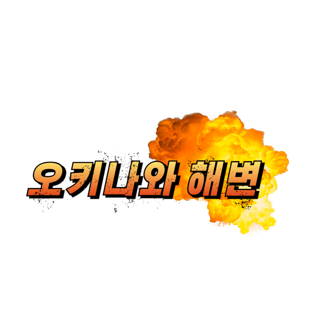 오키나와 해변