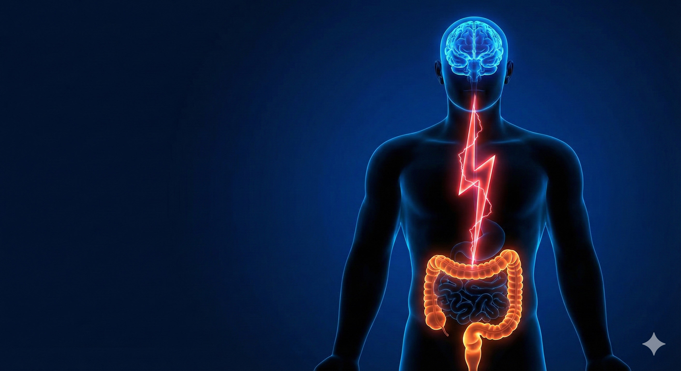 "스트레스 받으면 암 걸린다"는 말, 그냥 하는 소리가 아니었습니다