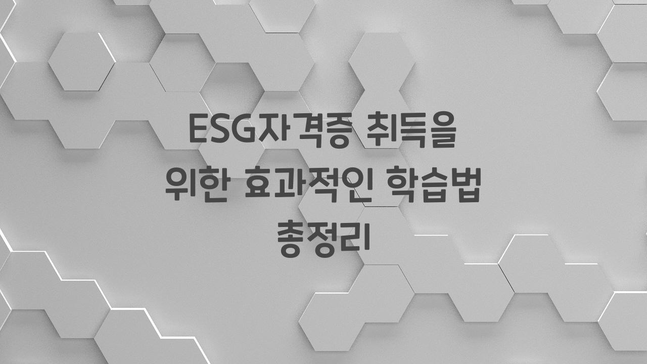 ESG자격증