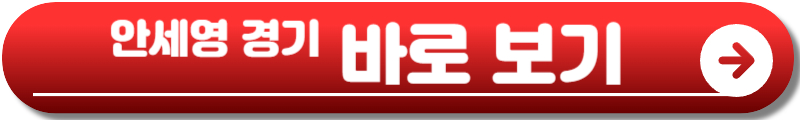 안세영 경기일정