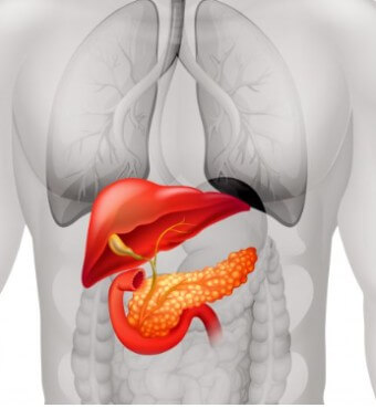 췌장암 통증 부위