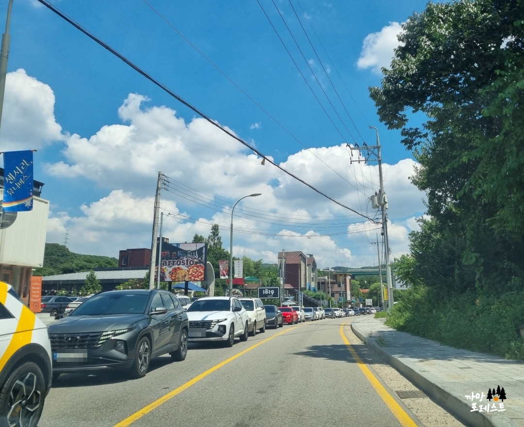 용인 고기리 계곡 차막힘